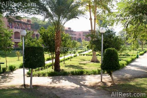 Pyramisa Isis Island Resort & SPA 13